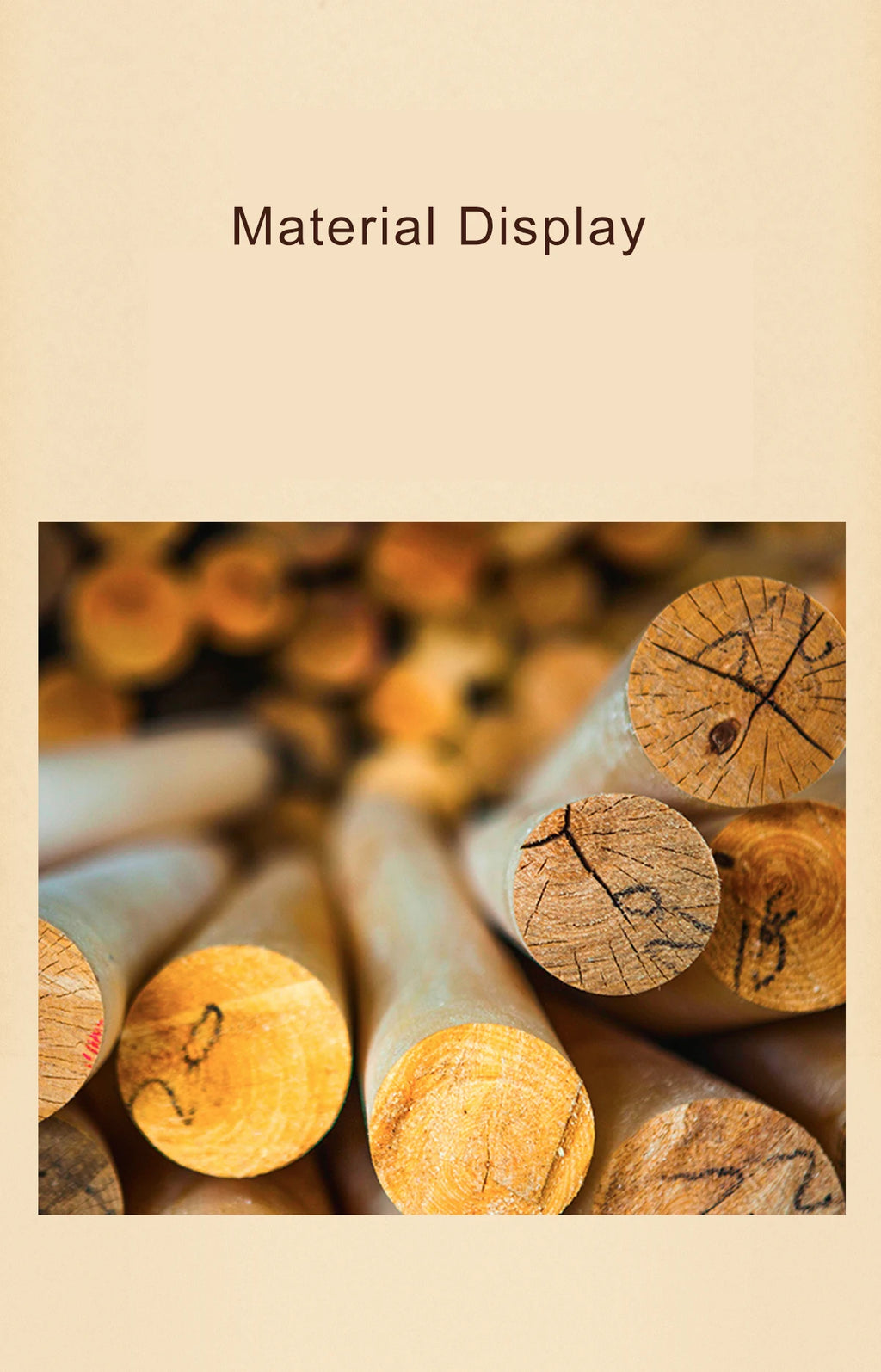 Musical Instruments : Saxophone, Drum, Accordion, Cello - Model to assemble