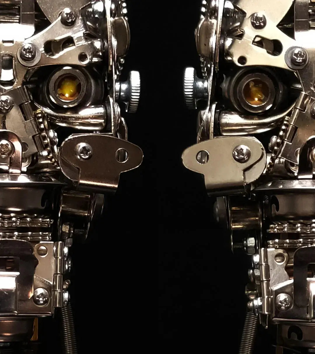 200 Pcs+ Metal Assembly Skull Model 3d Puzzle Metal Assembly Models Difficult Mechanical Toys Precision DIY Kit Model to assemble