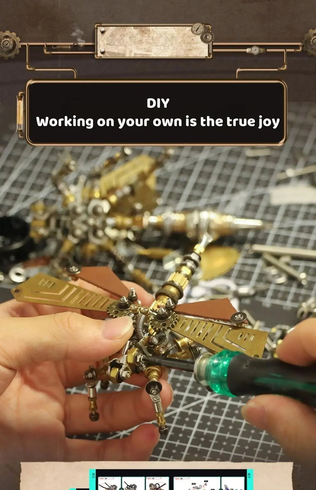 Metal insect Model to assemble